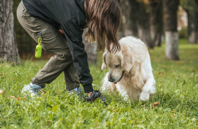 Dlaczego warto sprzątać po swoim psie w parku?